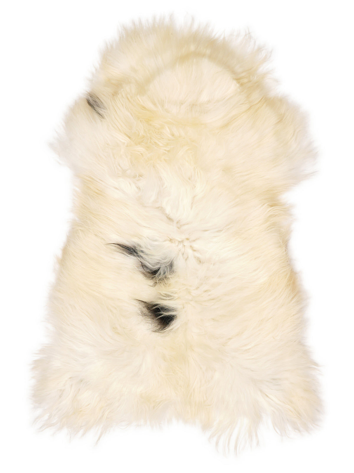 Peau de mouton islandaise multicolore d’environ 110 × 60 cm, vue de dessus : exactement la peau que vous recevez