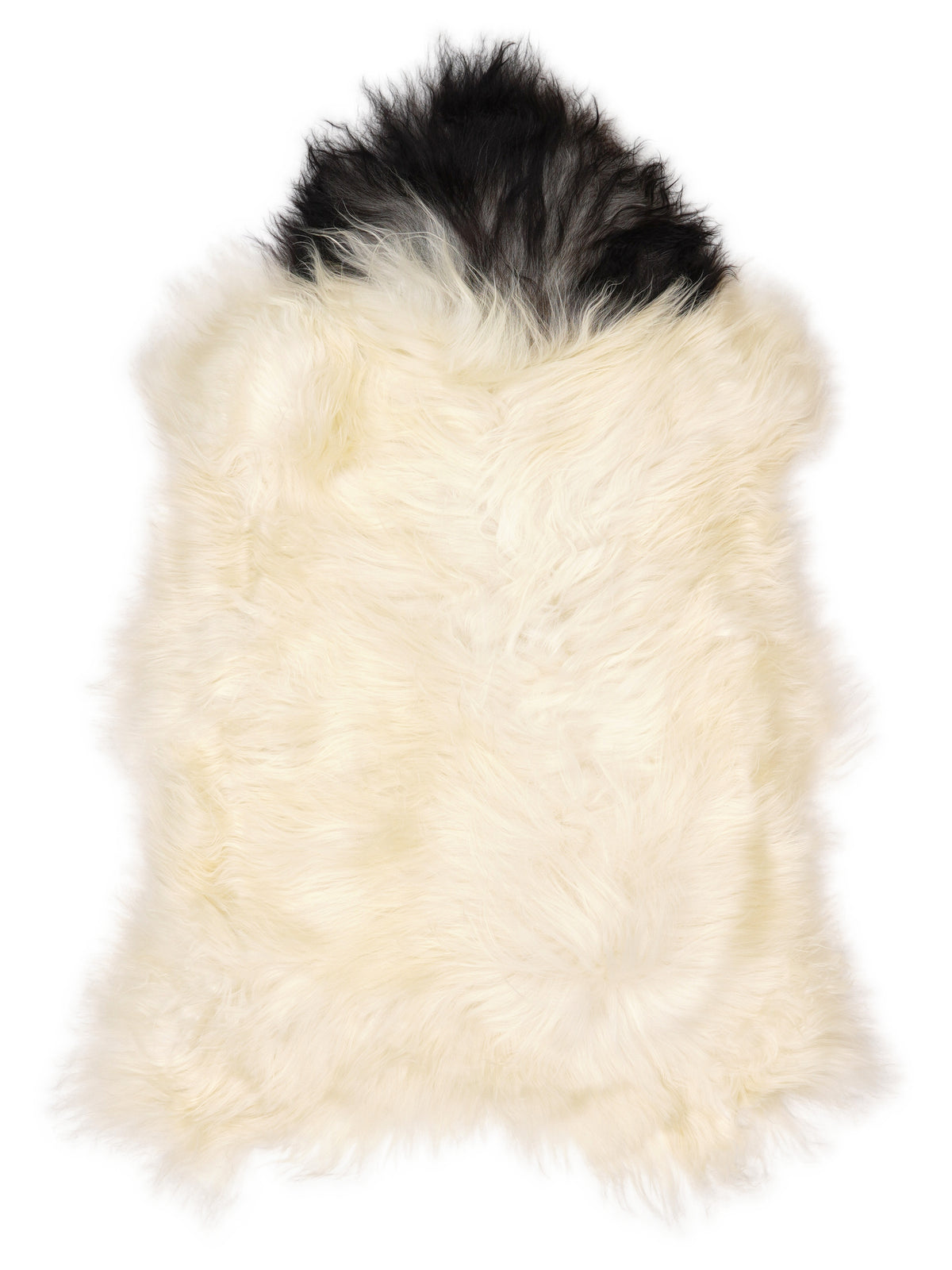 Peau de mouton islandaise multicolore d’environ 110 × 70 cm, vue de dessus : exactement la peau que vous recevez