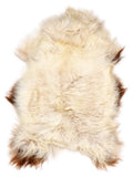 Peau de mouton islandaise multicolore d’environ 120 × 80 cm, vue de dessus : exactement la peau que vous recevez
