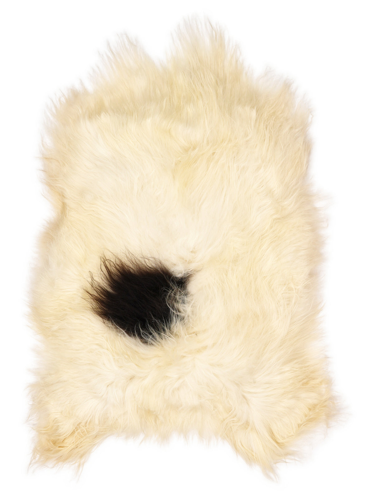 Peau de mouton islandaise multicolore d’environ 110 × 75 cm, vue de dessus : exactement la peau que vous recevez