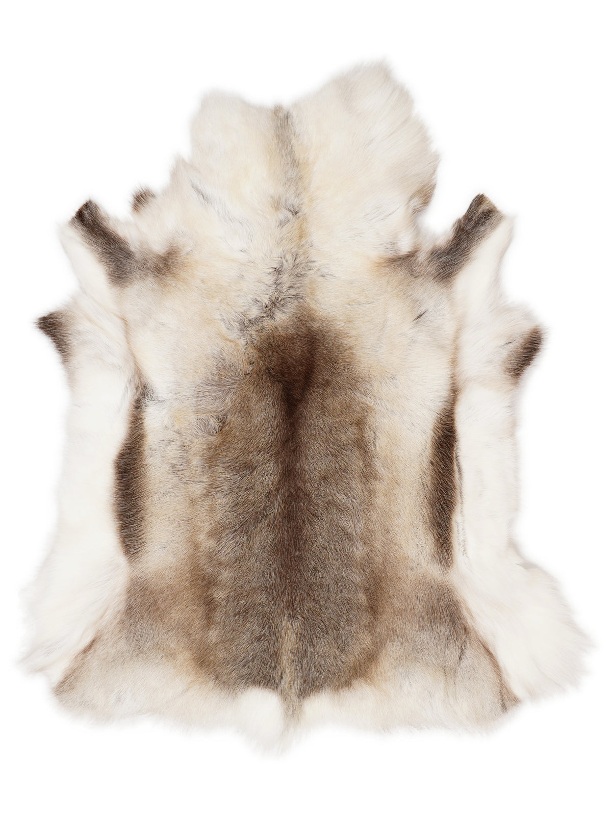 Peau de renne d’environ 120 × 105 cm, vue de dessus : exactement la peau que vous recevez
