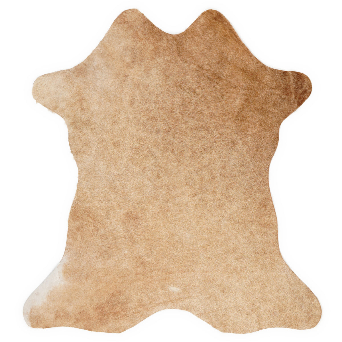 Mini peau de vache d’environ 70 × 70 cm, vue de dessus : exactement la peau que vous recevez