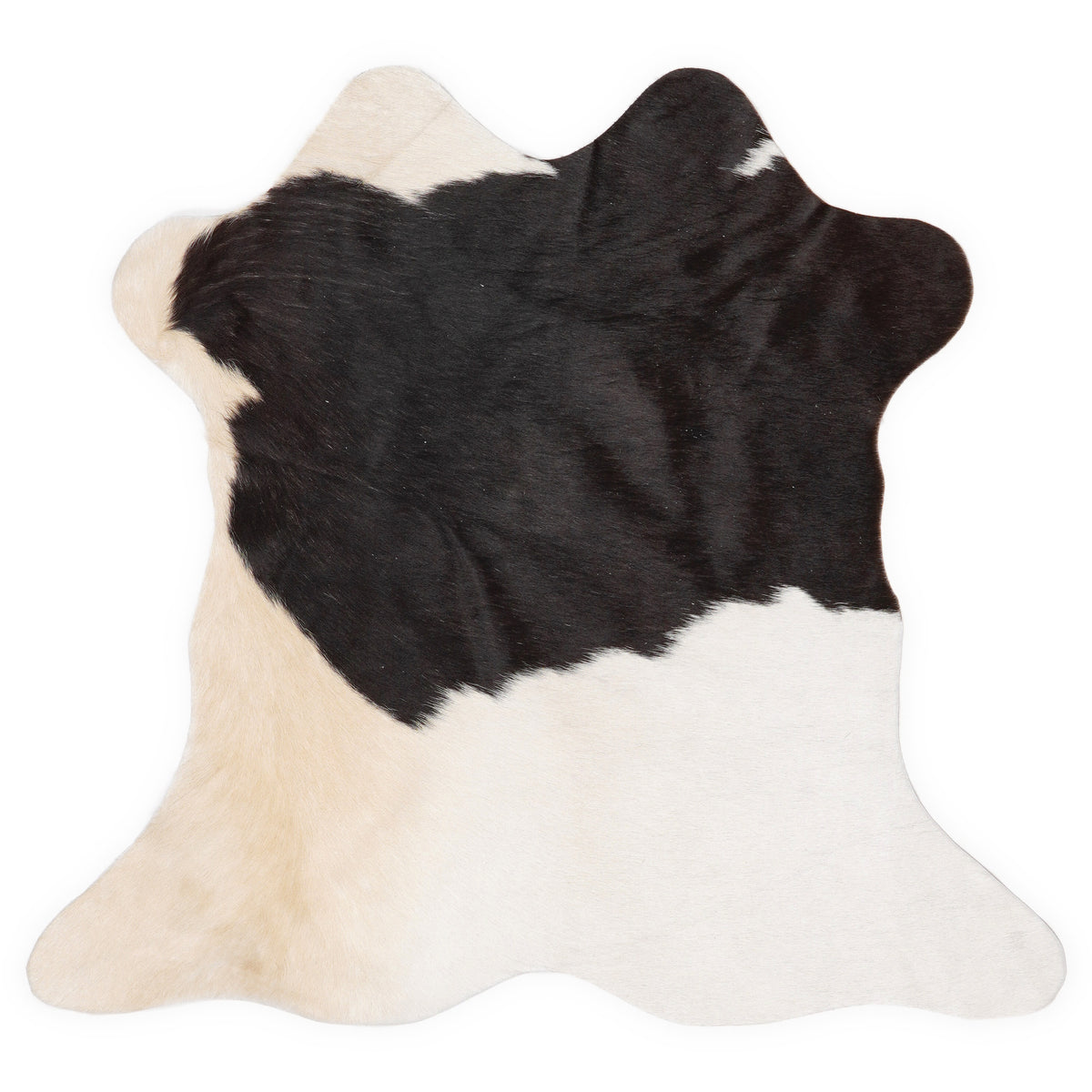 Mini peau de vache d’environ 70 × 70 cm, vue de dessus : exactement la peau que vous recevez