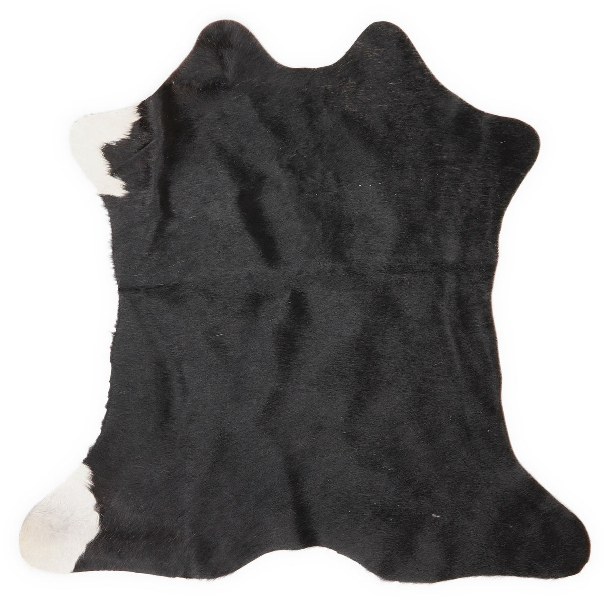 Mini peau de vache d’environ 70 × 70 cm, vue de dessus : exactement la peau que vous recevez