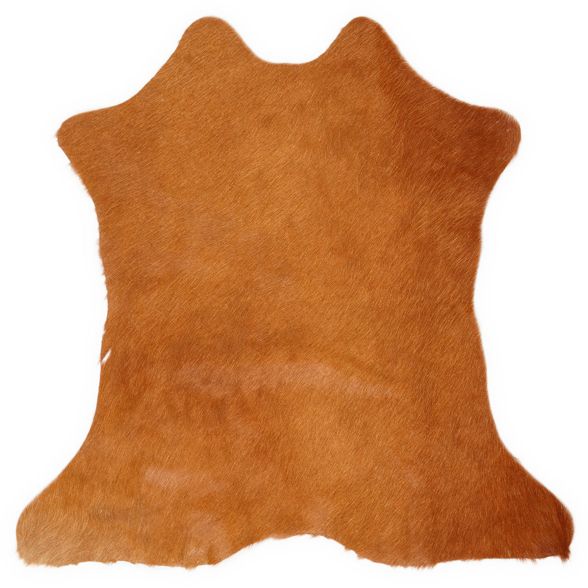 Mini peau de vache d’environ 70 × 70 cm, vue de dessus : exactement la peau que vous recevez