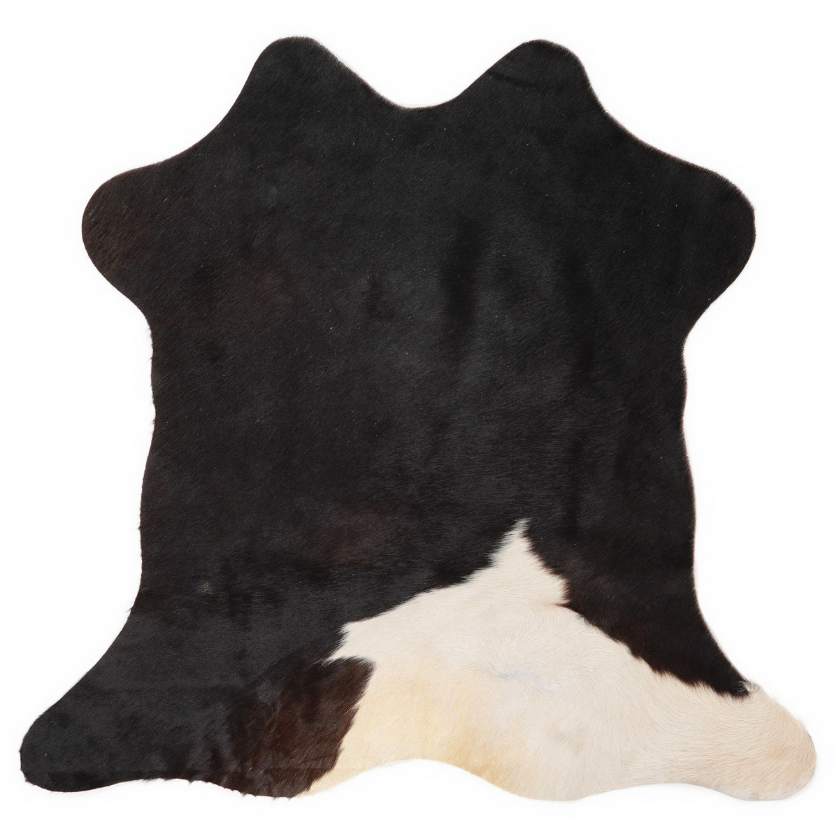 Mini peau de vache d’environ 70 × 70 cm, vue de dessus : exactement la peau que vous recevez