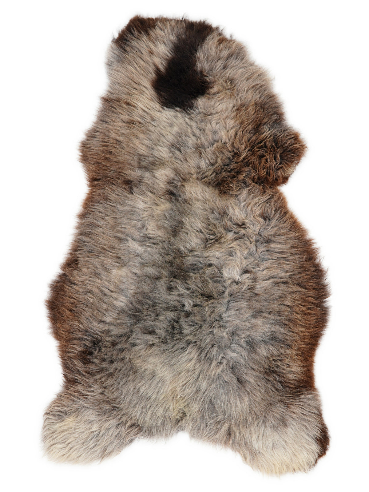 Peau de mouton multicolore britannique d’environ 130 × 75 cm, vue de dessus : exactement la peau que vous recevez