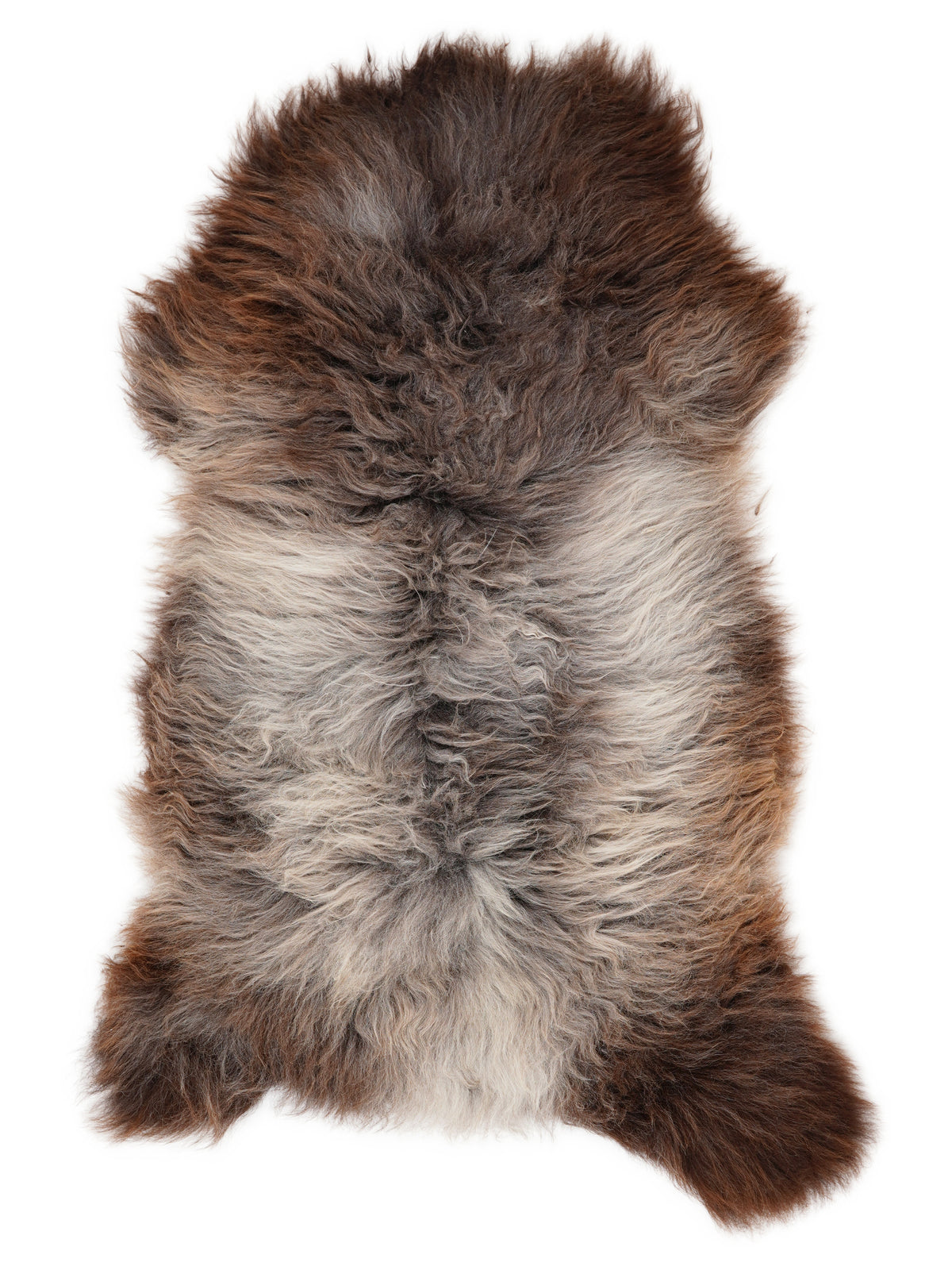 Peau de mouton multicolore britannique d’environ 120 × 65 cm, vue de dessus : exactement la peau que vous recevez