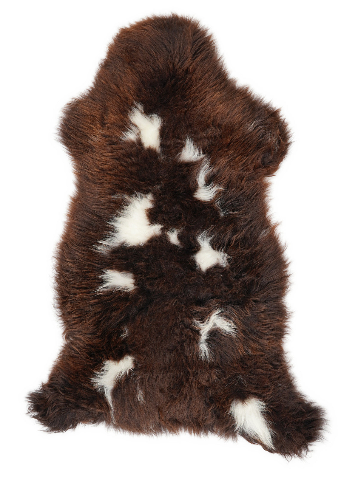 Peau de mouton multicolore britannique d’environ 130 × 60 cm, vue de dessus : exactement la peau que vous recevez