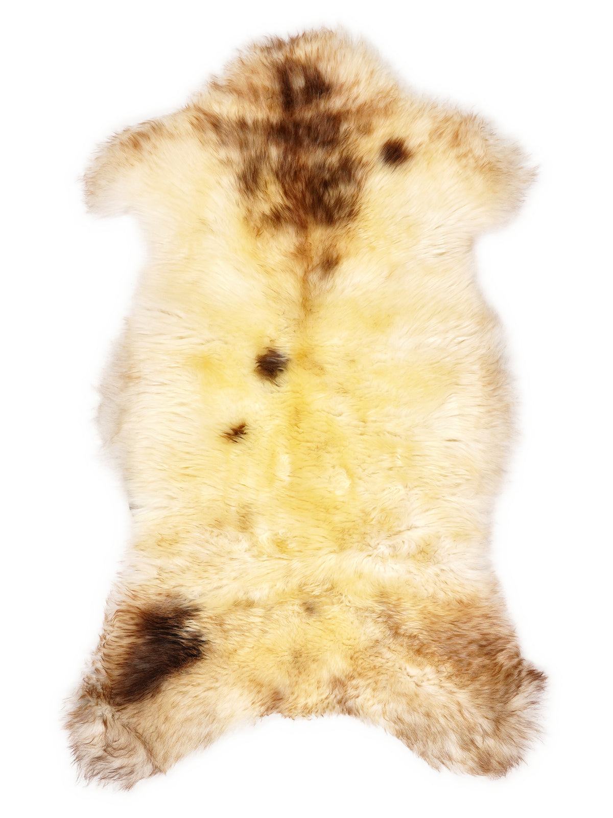 Peau de mouton multicolore britannique d’environ 110 × 55 cm, vue de dessus : exactement la peau que vous recevez