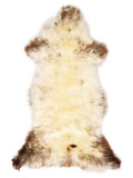 Peau de mouton multicolore britannique d’environ 125 × 55 cm, vue de dessus : exactement la peau que vous recevez