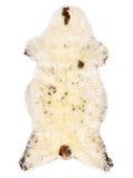 Peau de mouton multicolore britannique d’environ 130 × 60 cm, vue de dessus : exactement la peau que vous recevez