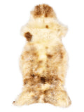 Peau de mouton multicolore britannique d’environ 125 × 55 cm, vue de dessus : exactement la peau que vous recevez