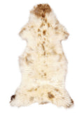 Peau de mouton multicolore britannique d’environ 130 × 55 cm, vue de dessus : exactement la peau que vous recevez