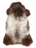 Peau de mouton multicolore britannique d’environ 120 × 65 cm, vue de dessus : exactement la peau que vous recevez