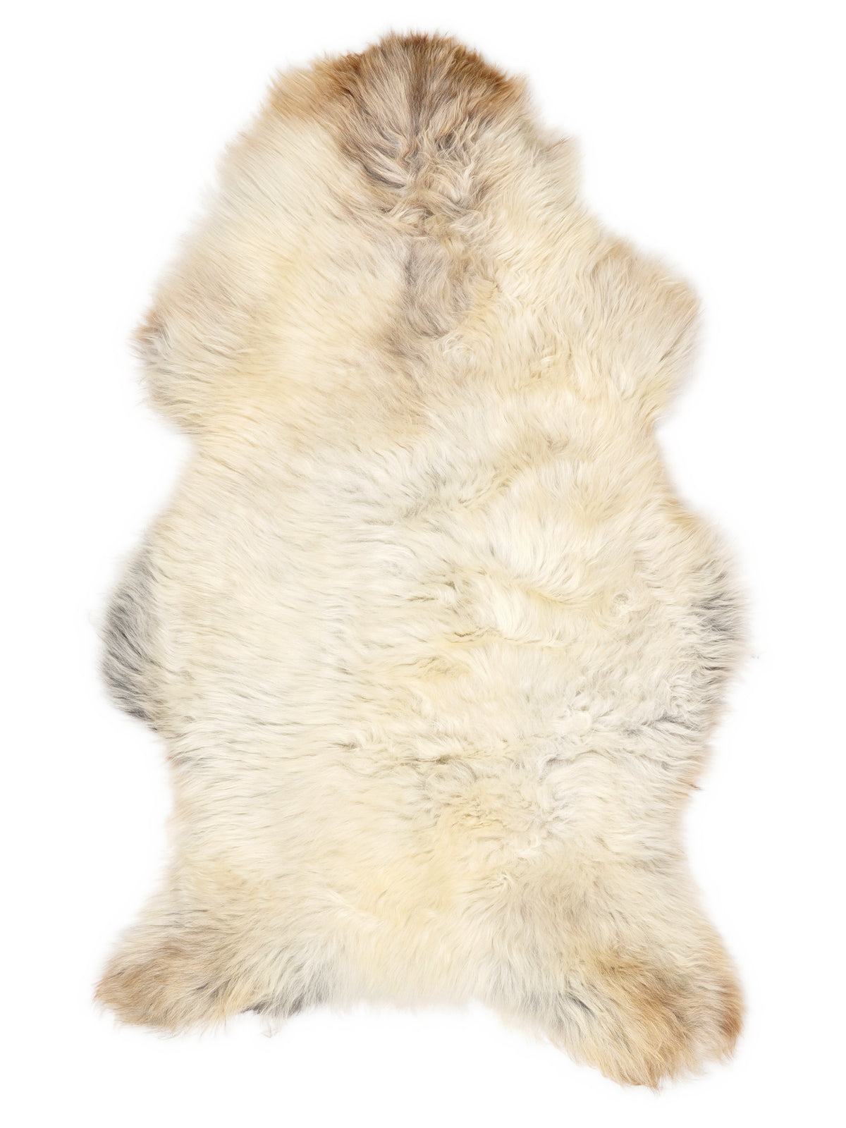 Peau de mouton multicolore britannique d’environ 125 × 70 cm, vue de dessus : exactement la peau que vous recevez