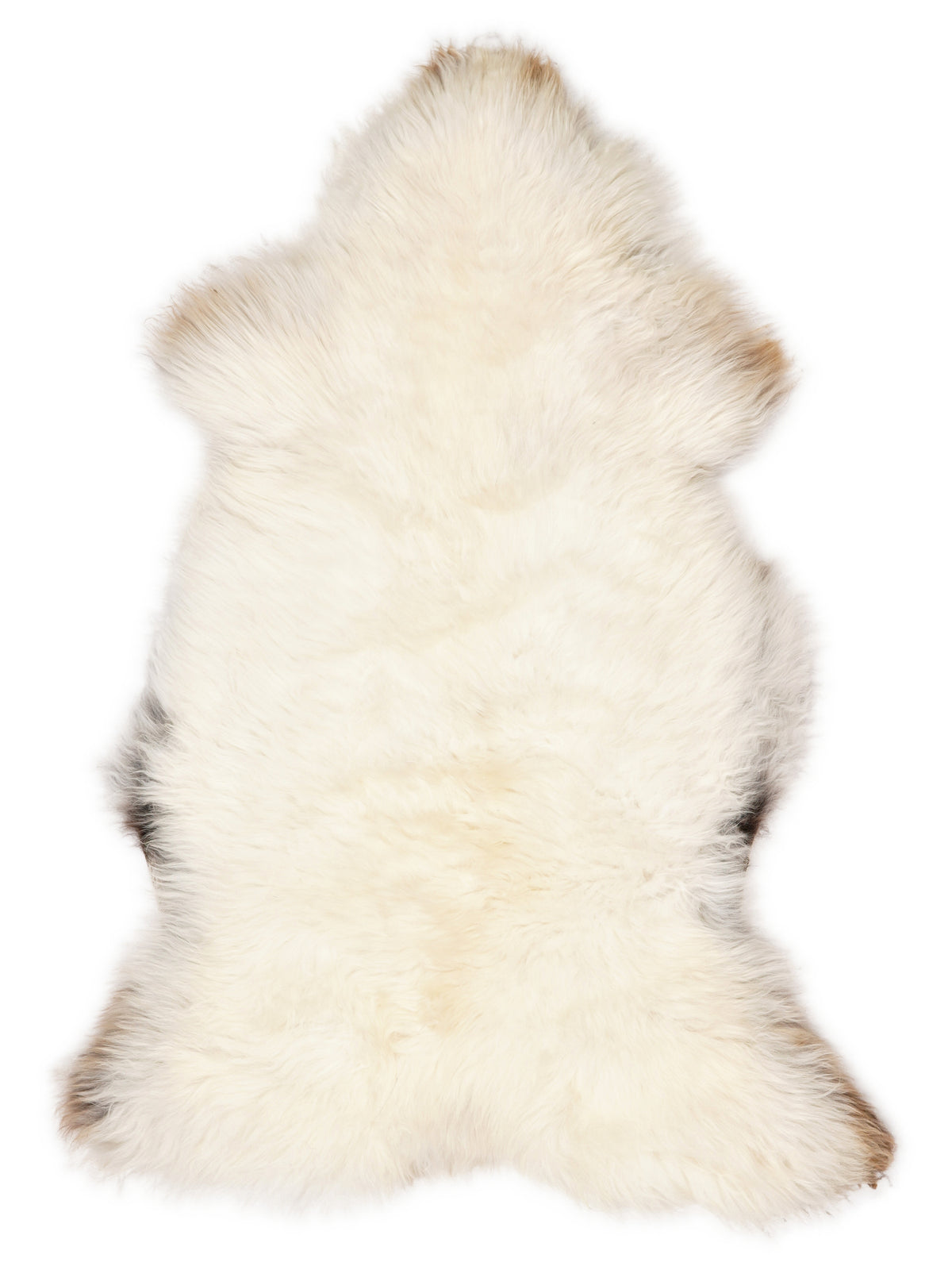 Peau de mouton multicolore britannique d’environ 120 × 70 cm, vue de dessus : exactement la peau que vous recevez