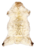Peau de mouton multicolore britannique d’environ 120 × 55 cm, vue de dessus : exactement la peau que vous recevez