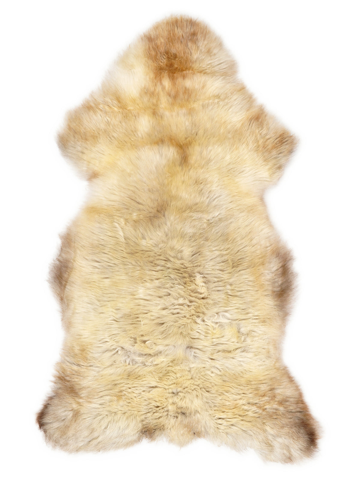 Peau de mouton multicolore britannique d’environ 125 × 65 cm, vue de dessus : exactement la peau que vous recevez