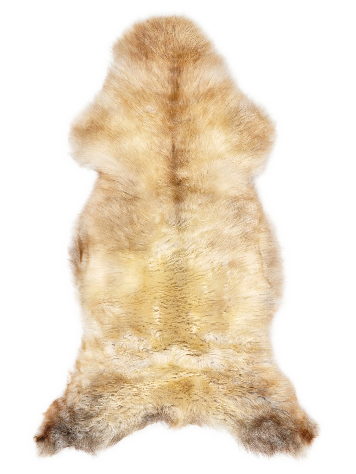 Peau de mouton multicolore britannique d’environ 130 × 55 cm, vue de dessus : exactement la peau que vous recevez