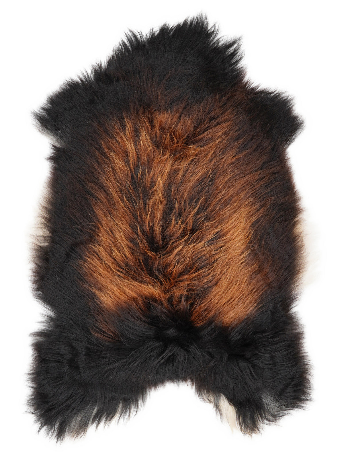 Peau de mouton islandaise multicolore d’environ 110 × 75 cm, vue de dessus : exactement la peau que vous recevez