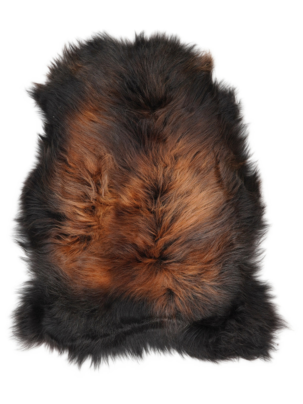 Peau de mouton islandaise multicolore d’environ 110 × 75 cm, vue de dessus : exactement la peau que vous recevez