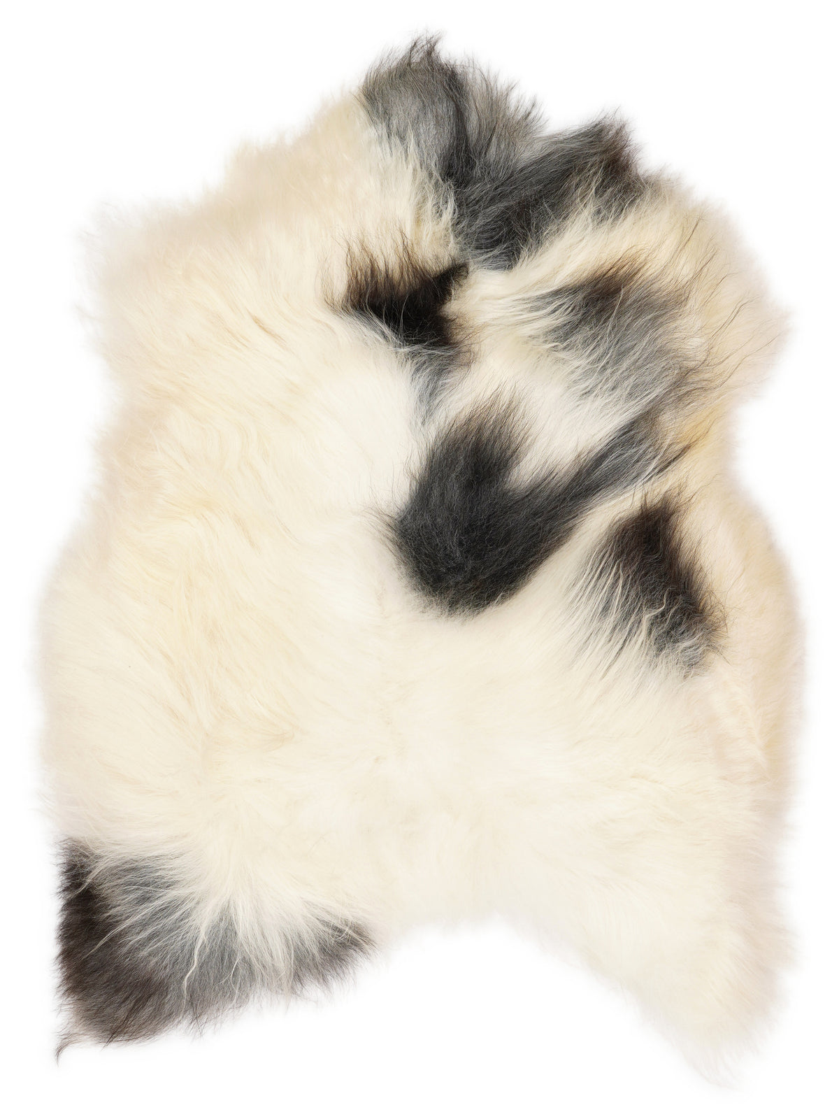 Peau de mouton islandaise multicolore d’environ 110 × 80 cm, vue de dessus : exactement la peau que vous recevez