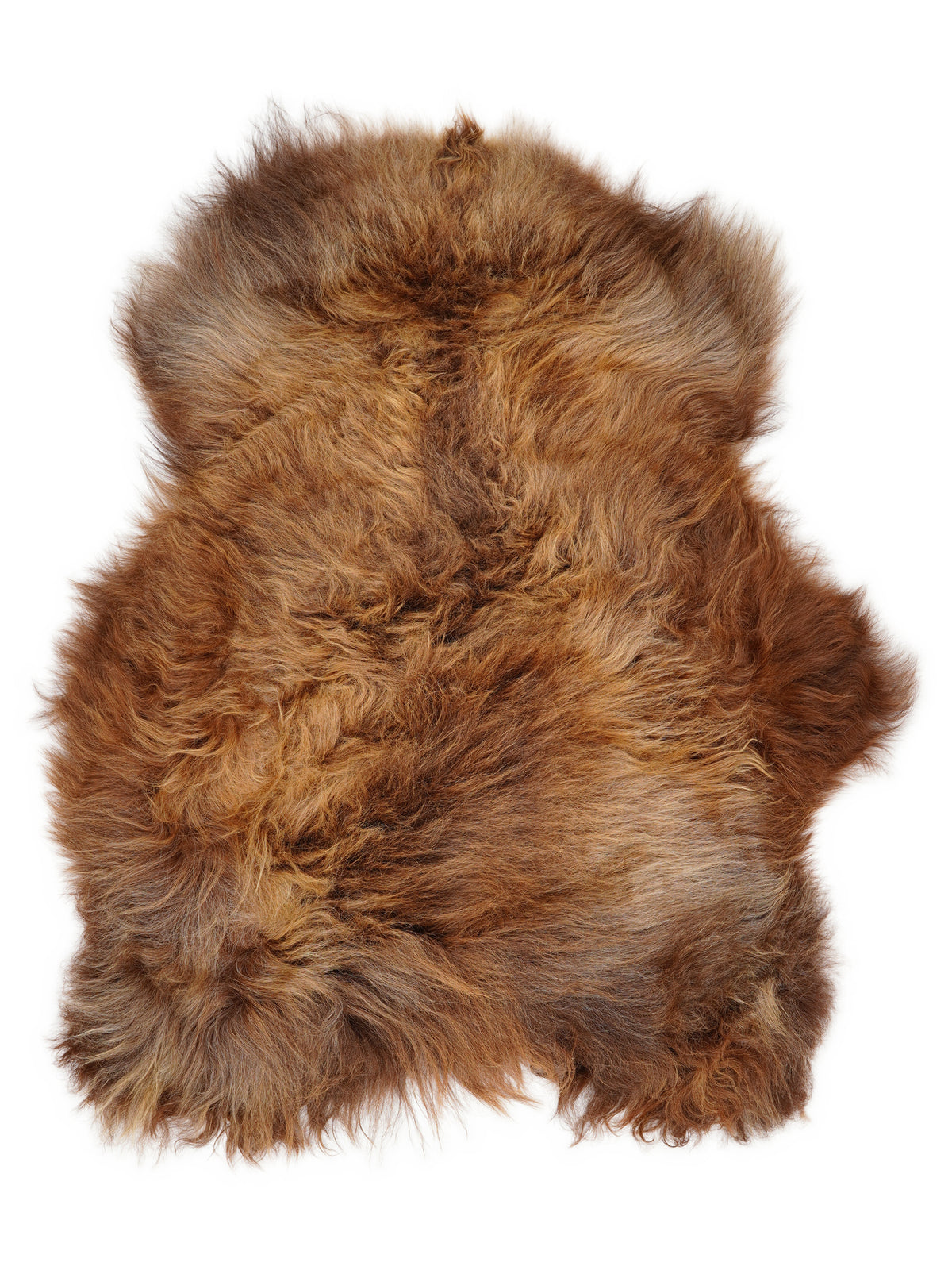 Peau de mouton islandaise multicolore d’environ 120 × 90 cm, vue de dessus : exactement la peau que vous recevez