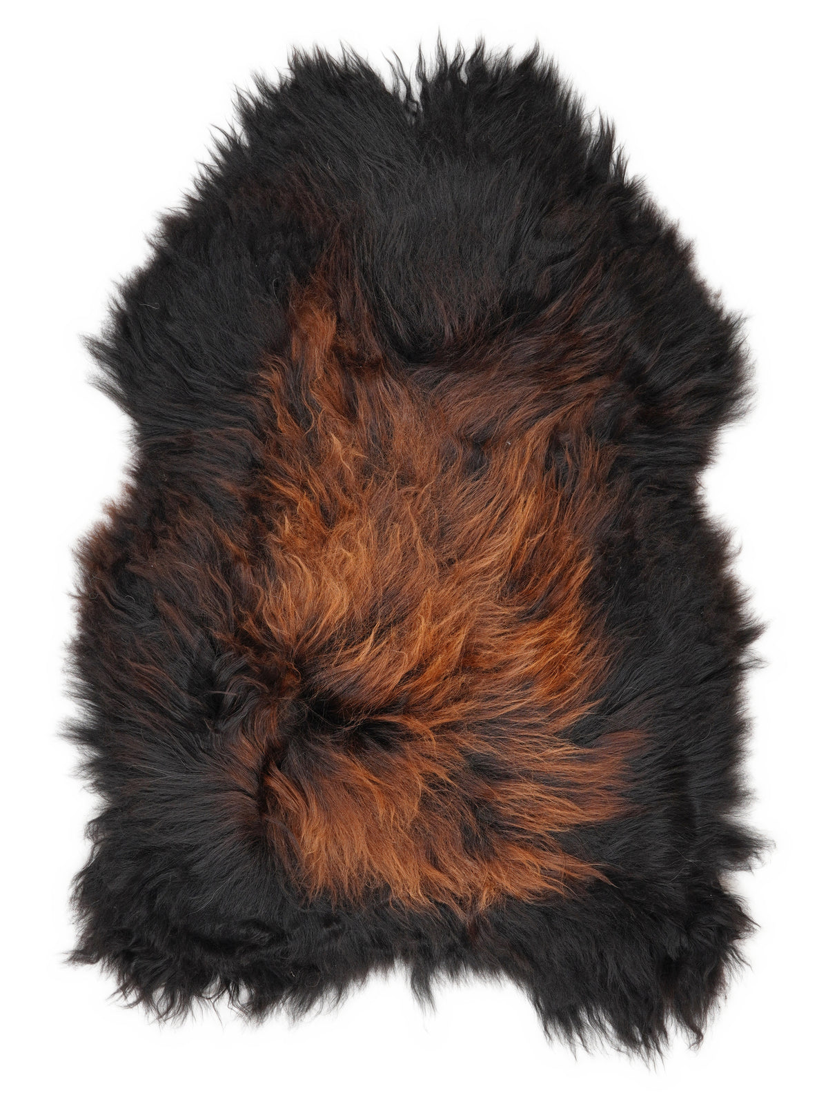 Peau de mouton islandaise multicolore d’environ 120 × 80 cm, vue de dessus : exactement la peau que vous recevez