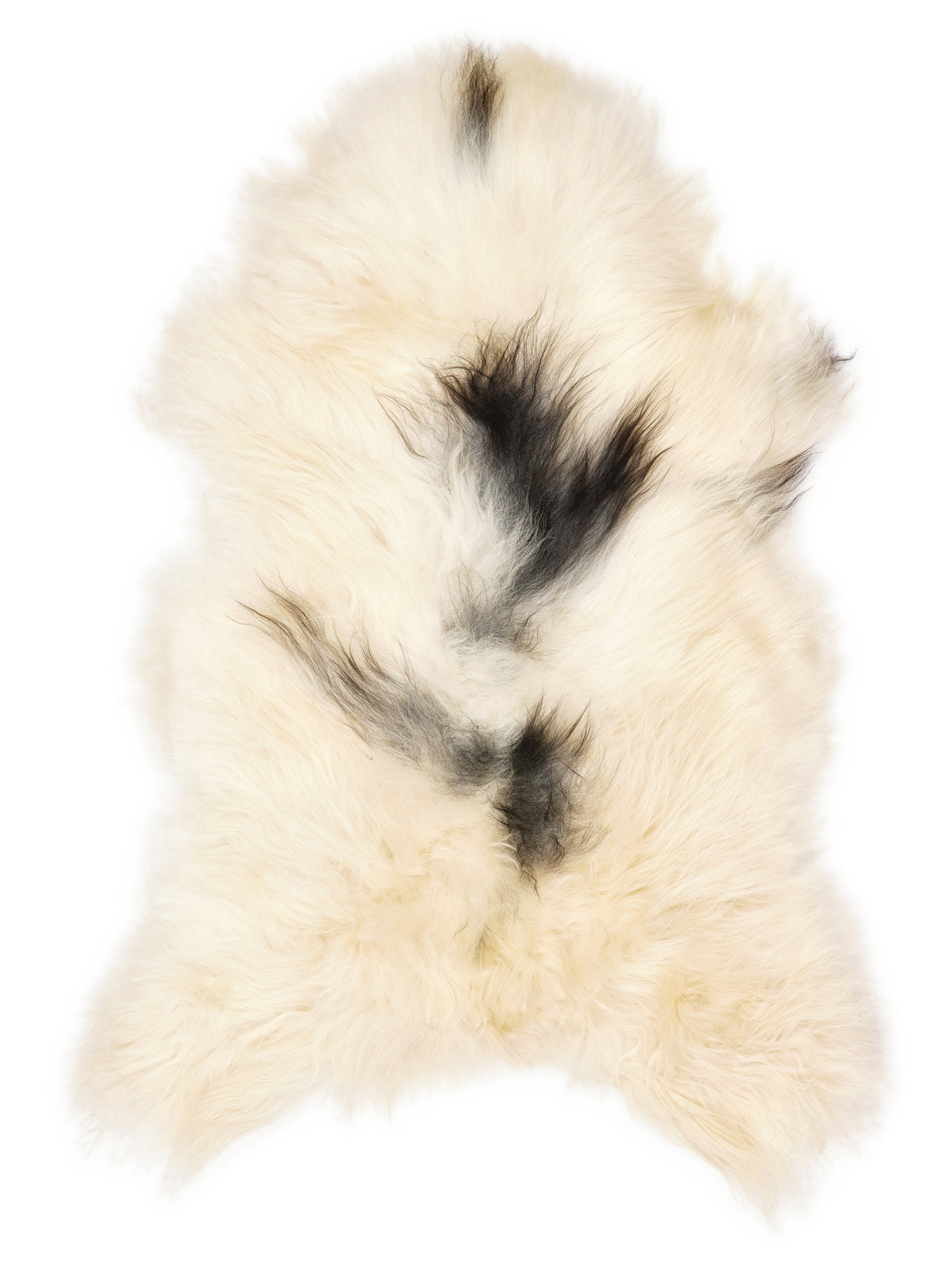 Peau de mouton islandaise multicolore d’environ 110 × 65 cm, vue de dessus : exactement la peau que vous recevez