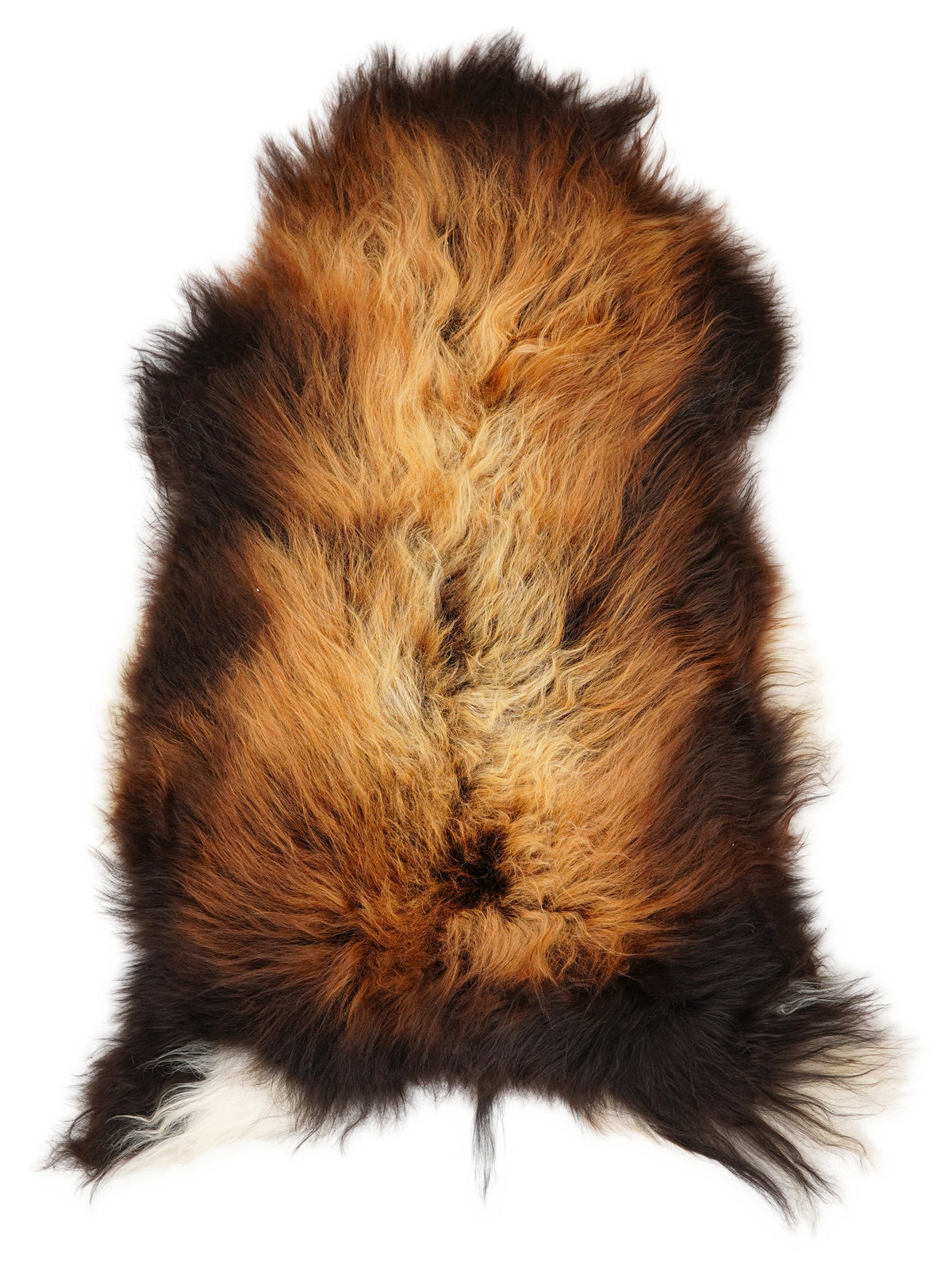 Peau de mouton islandaise multicolore d’environ 115 × 65 cm, vue de dessus : exactement la peau que vous recevez