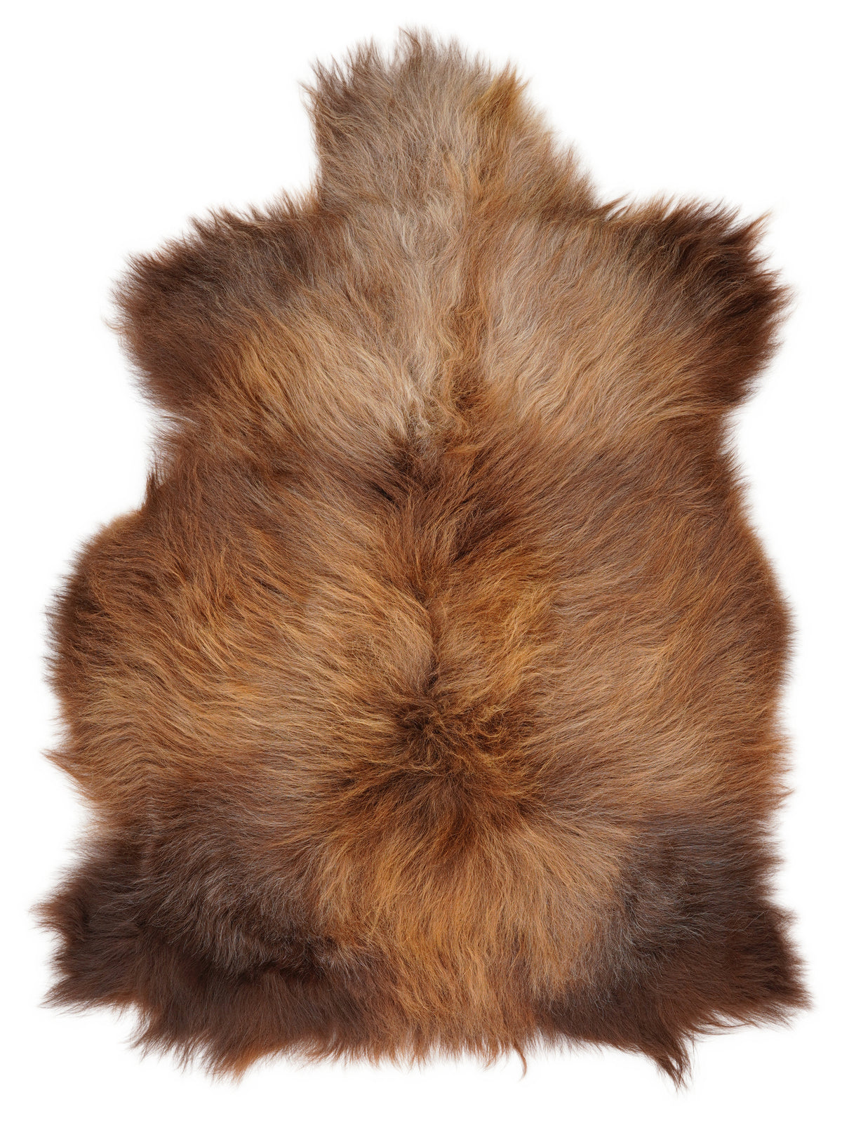 Peau de mouton islandaise multicolore d’environ 120 × 80 cm, vue de dessus : exactement la peau que vous recevez