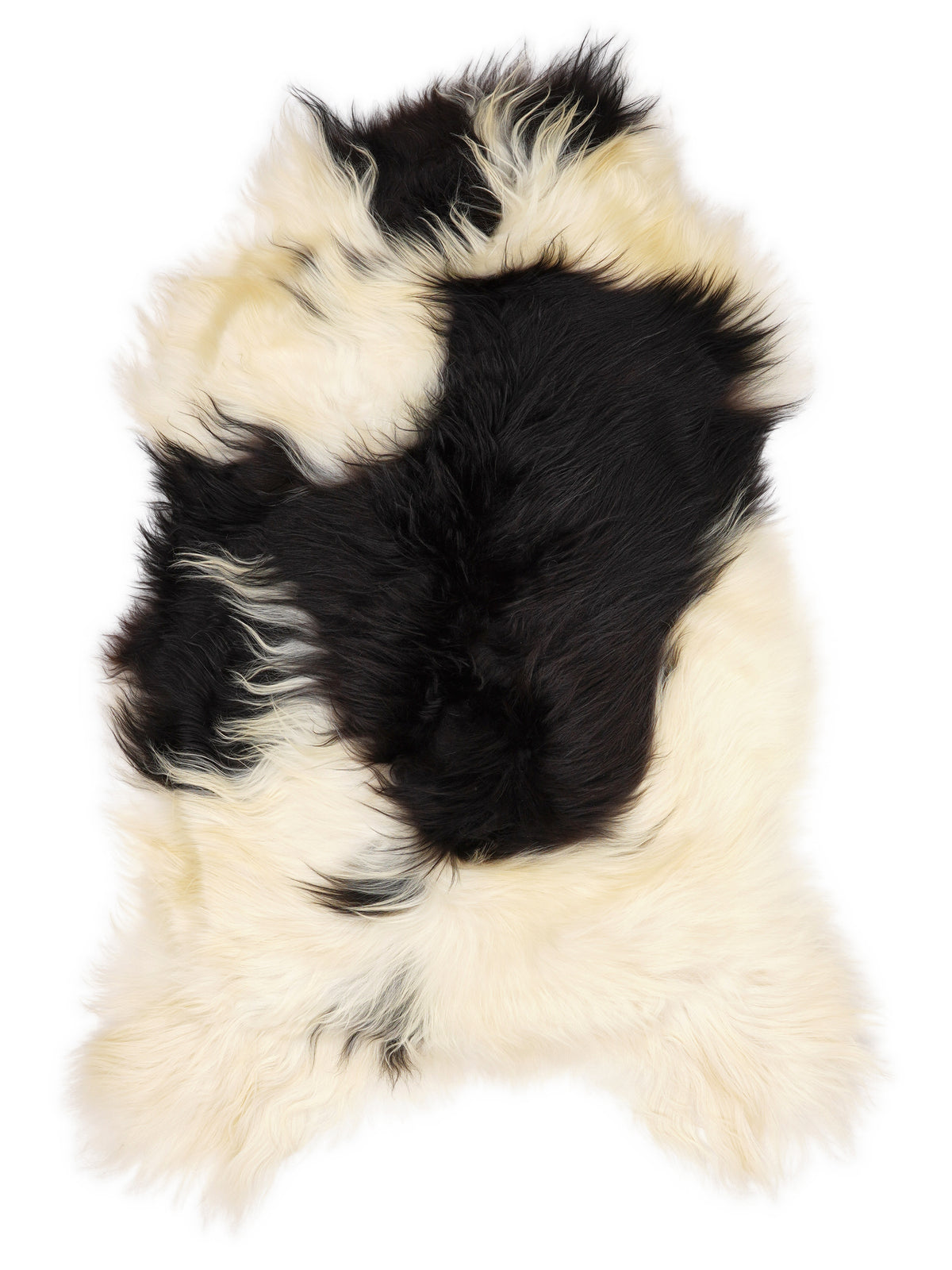 Peau de mouton islandaise multicolore d’environ 120 × 75 cm, vue de dessus : exactement la peau que vous recevez