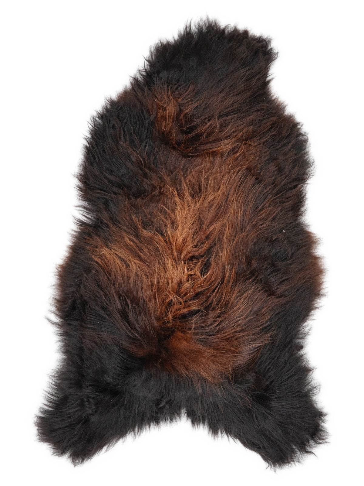 Peau de mouton islandaise multicolore d’environ 120 × 70 cm, vue de dessus : exactement la peau que vous recevez