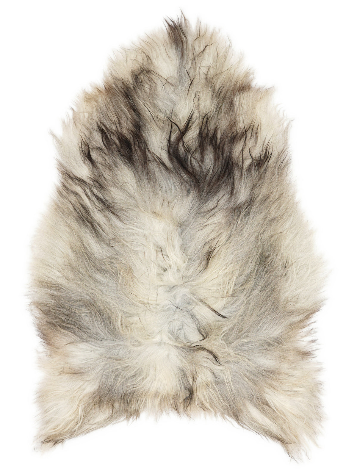 Peau de mouton islandaise grise d’environ 120 × 70 cm, vue de dessus : exactement la peau que vous recevez