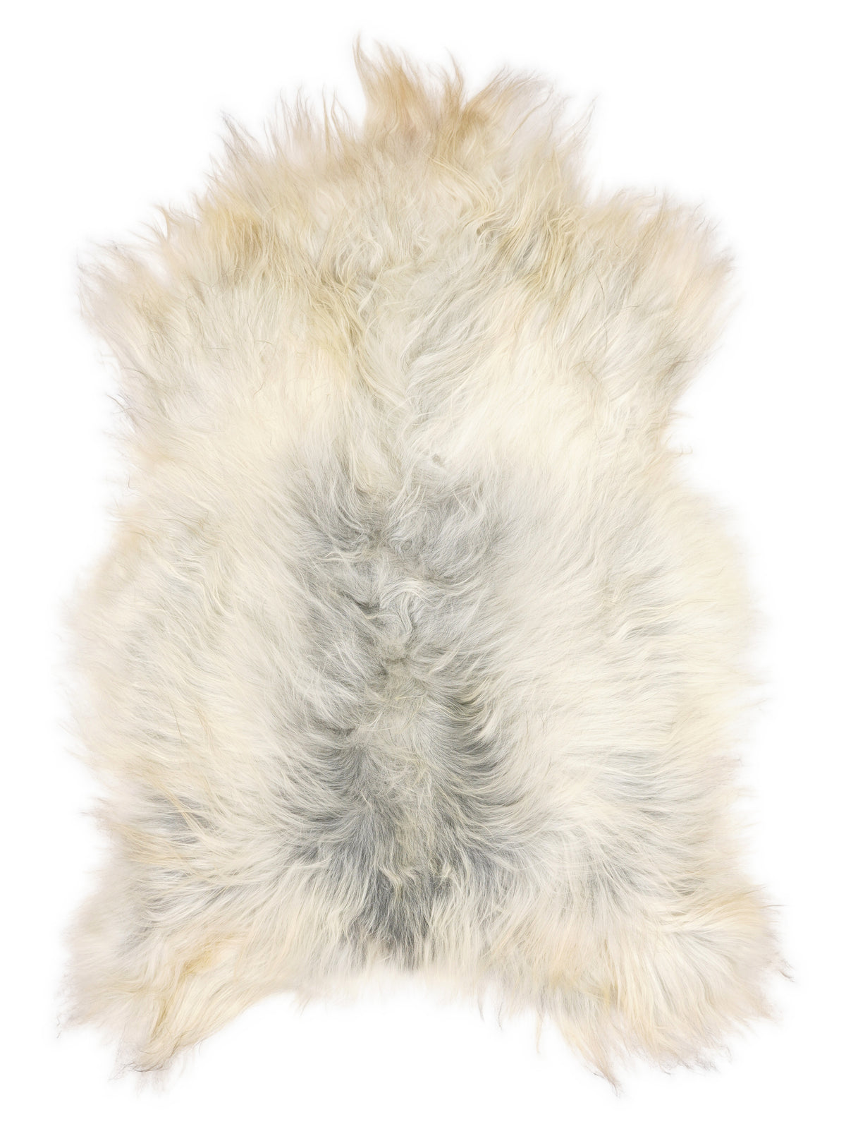 Peau de mouton islandaise grise d’environ 125 × 80 cm, vue de dessus : exactement la peau que vous recevez