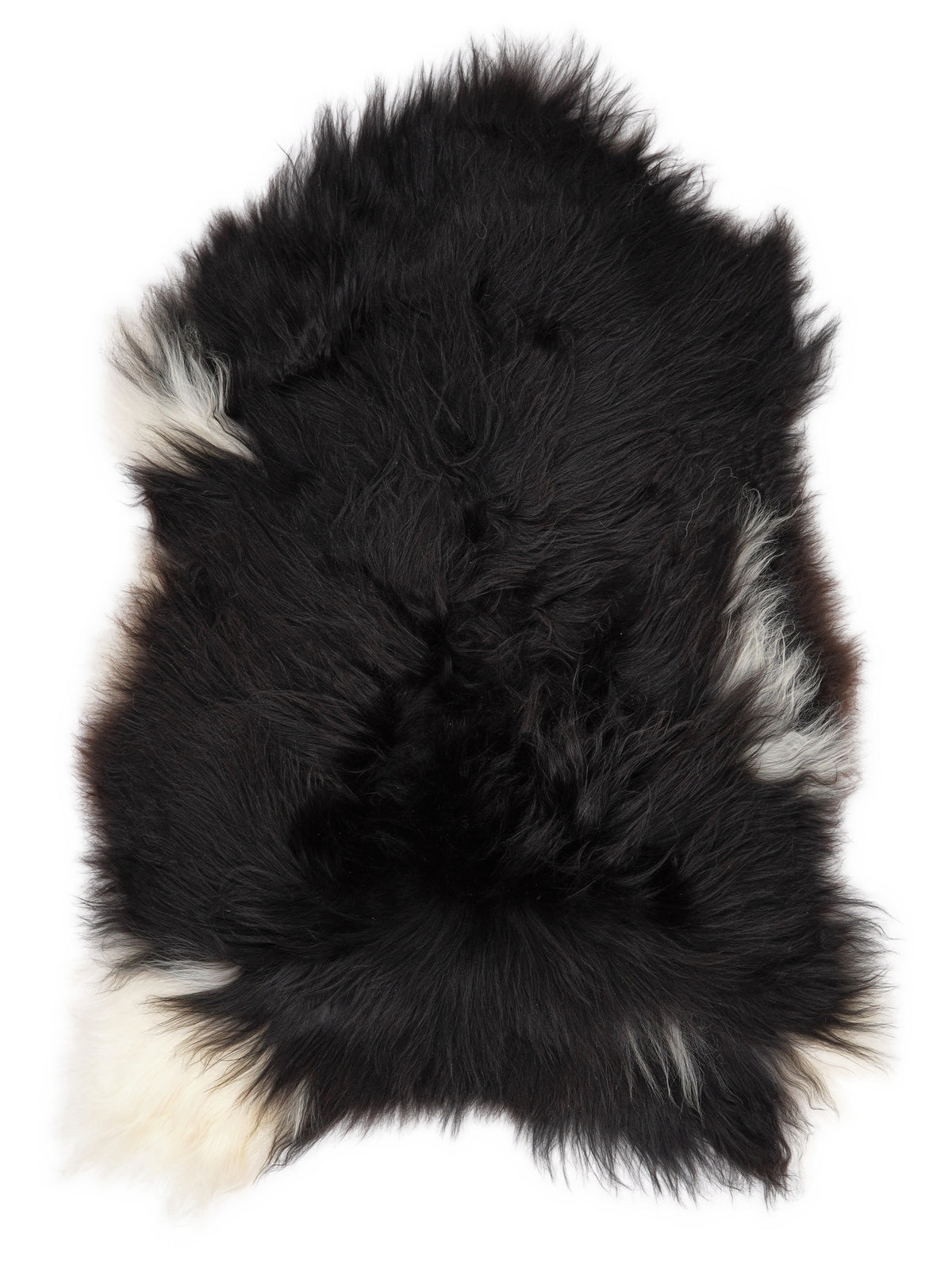 Peau de mouton islandaise multicolore d’environ 110 × 70 cm, vue de dessus : exactement la peau que vous recevez