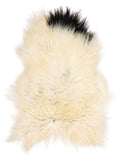 Peau de mouton islandaise multicolore d’environ 110 × 80 cm, vue de dessus : exactement la peau que vous recevez