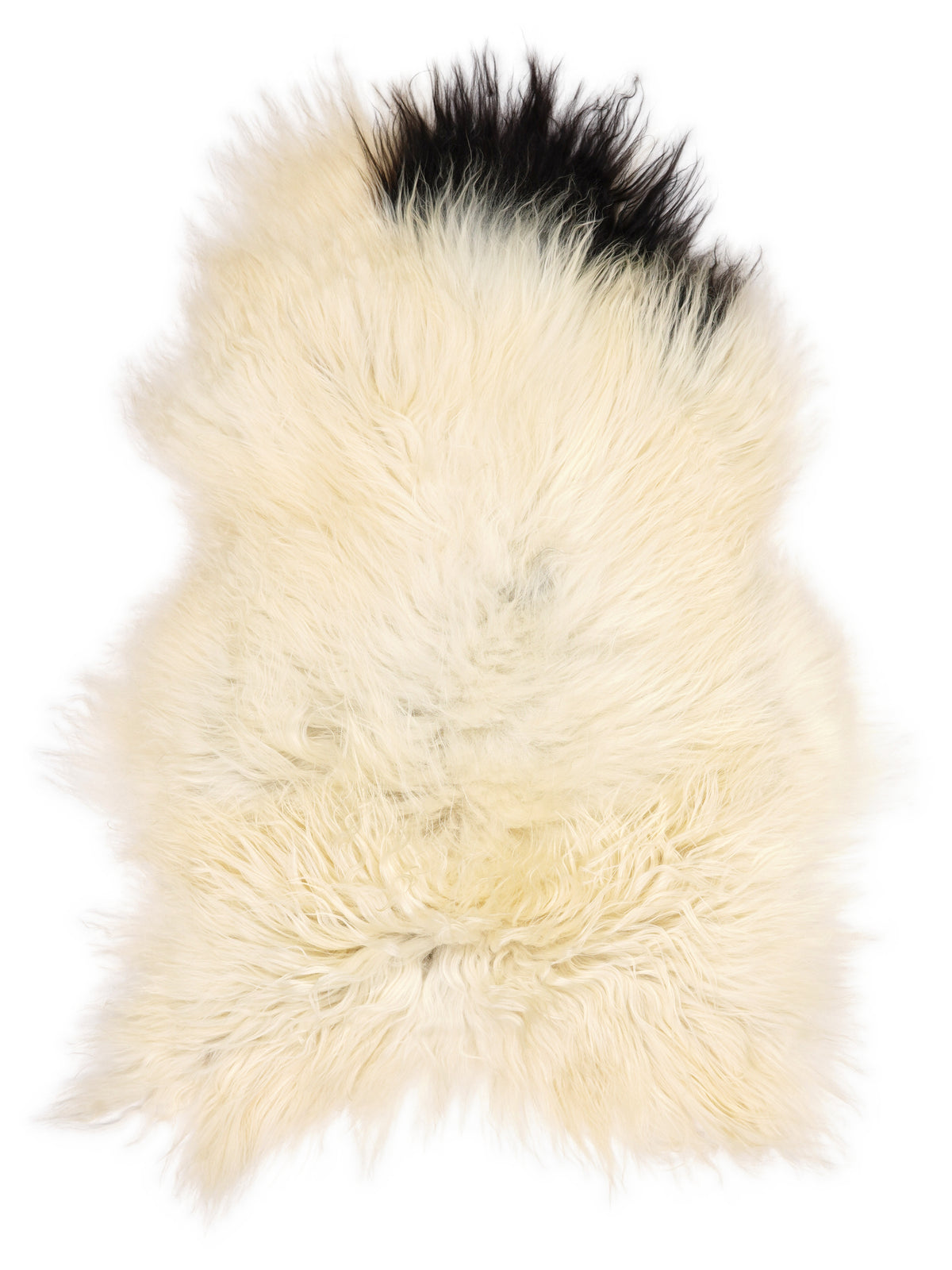 Peau de mouton islandaise multicolore d’environ 110 × 80 cm, vue de dessus : exactement la peau que vous recevez