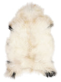 Peau de mouton islandaise multicolore d’environ 120 × 75 cm, vue de dessus : exactement la peau que vous recevez