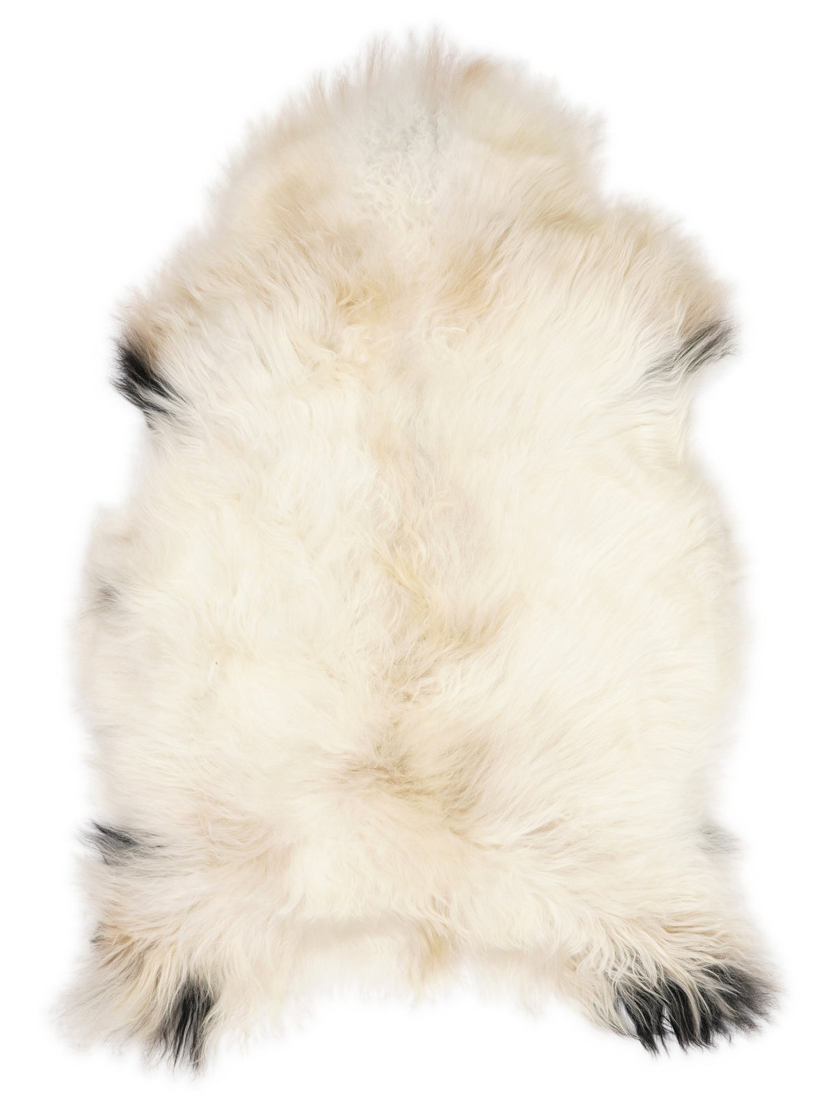 Peau de mouton islandaise multicolore d’environ 120 × 75 cm, vue de dessus : exactement la peau que vous recevez