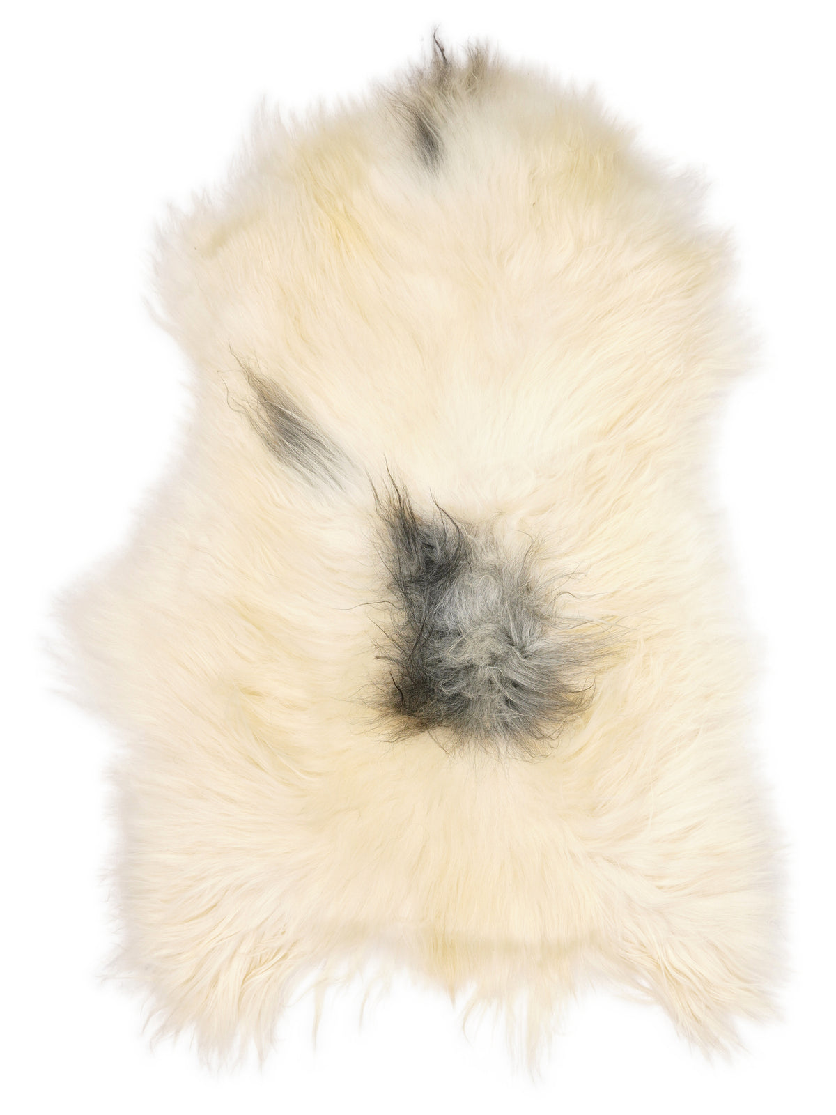Peau de mouton islandaise multicolore d’environ 120 × 80 cm, vue de dessus : exactement la peau que vous recevez