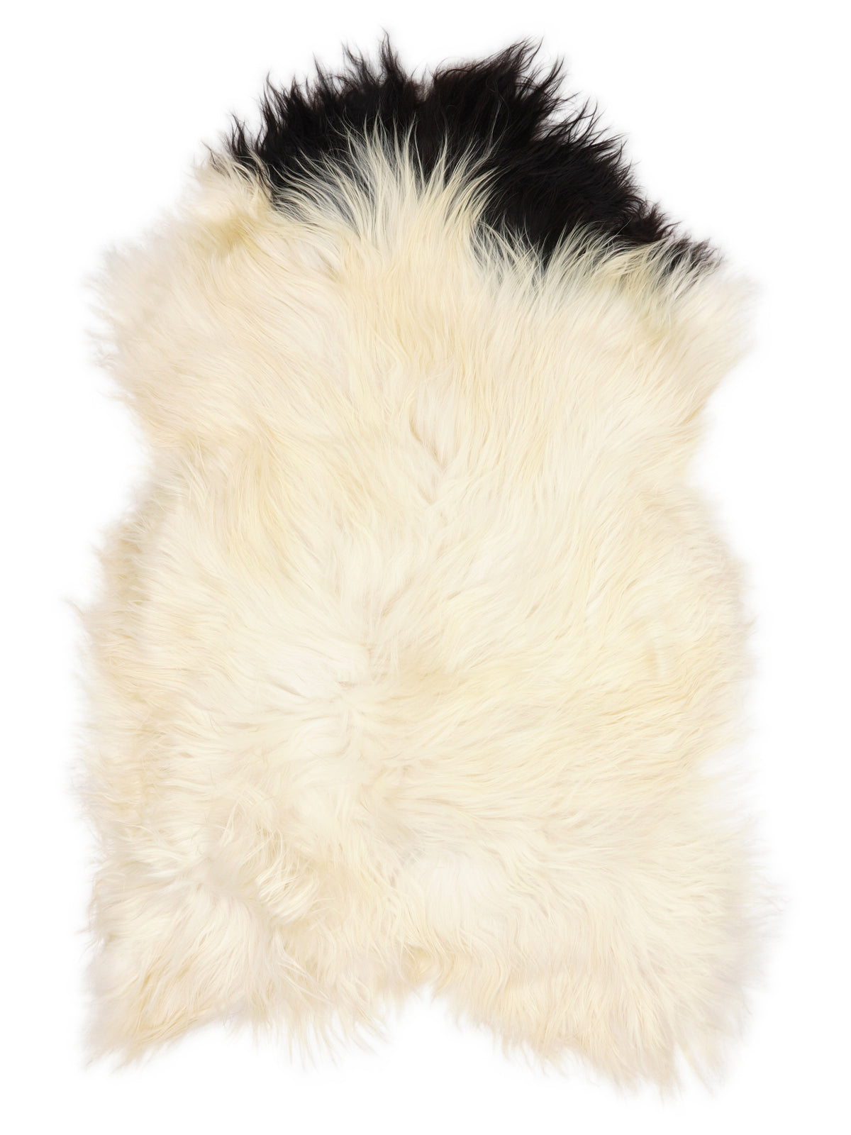 Peau de mouton islandaise multicolore d’environ 120 × 75 cm, vue de dessus : exactement la peau que vous recevez