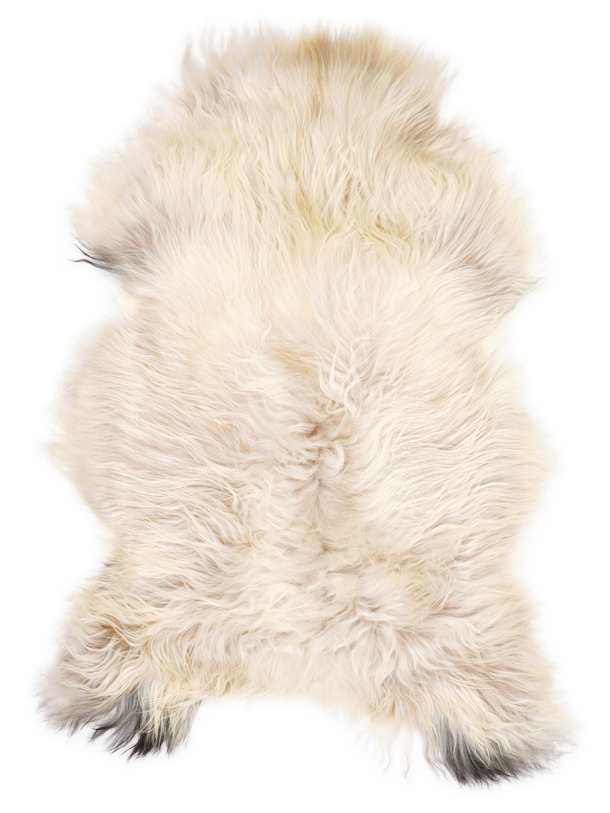 Peau de mouton islandaise multicolore d’environ 120 × 75 cm, vue de dessus : exactement la peau que vous recevez