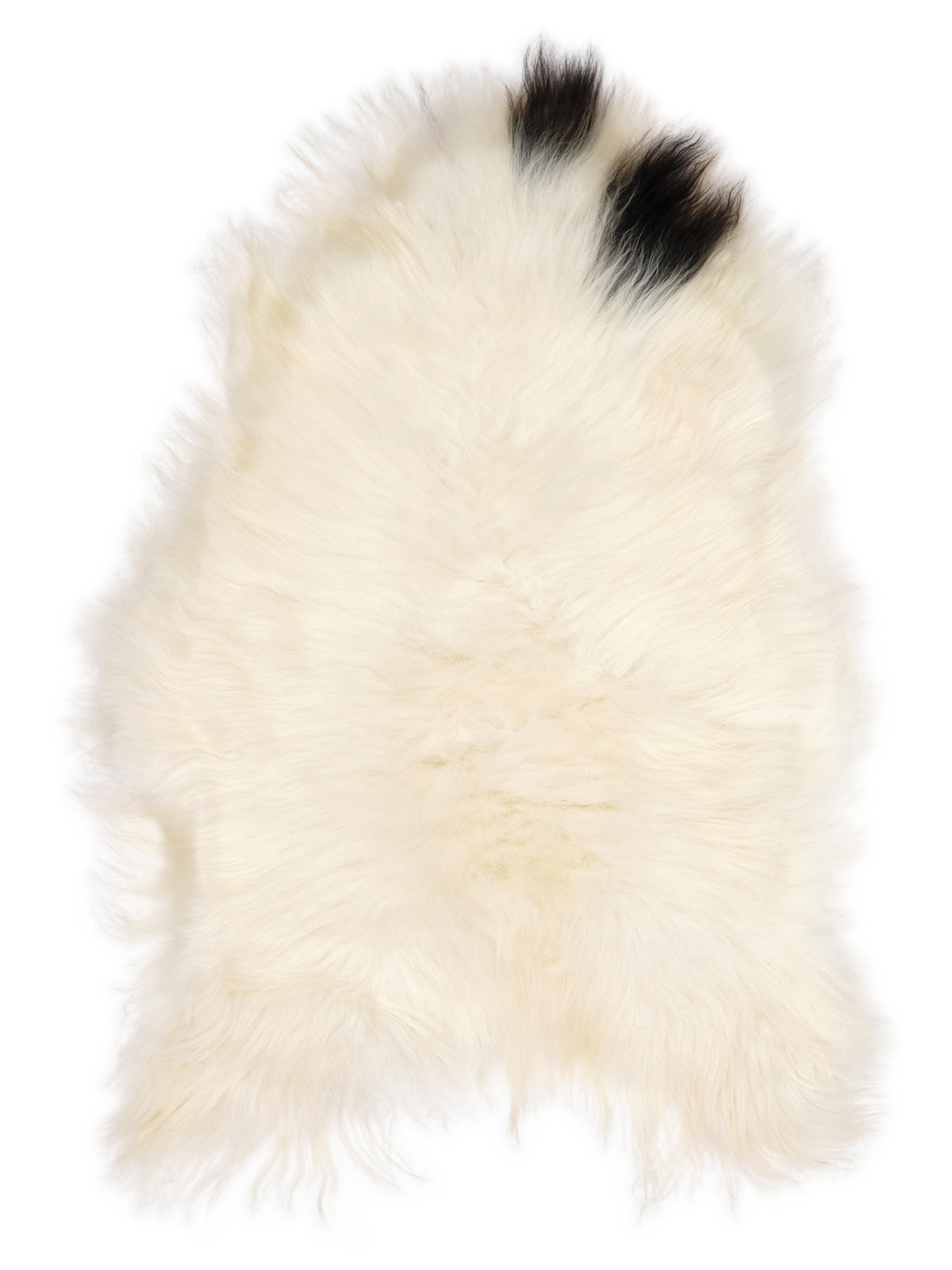 Peau de mouton islandaise multicolore d’environ 110 × 75 cm, vue de dessus : exactement la peau que vous recevez