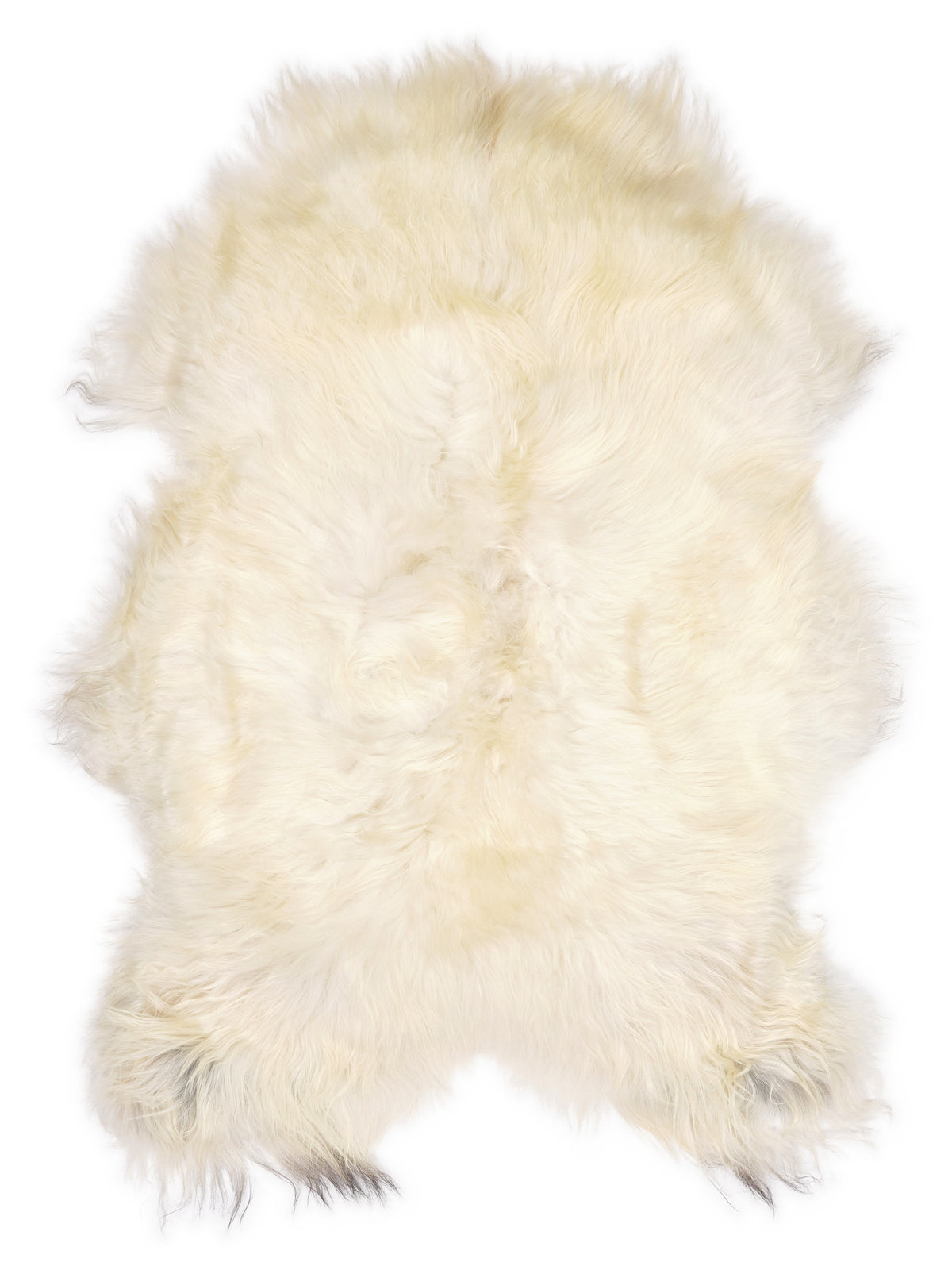 Peau de mouton islandaise multicolore d’environ 110 × 75 cm, vue de dessus : exactement la peau que vous recevez