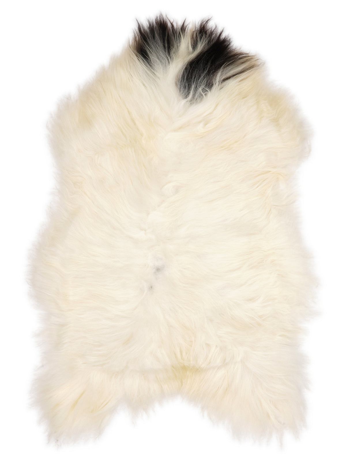 Peau de mouton islandaise multicolore d’environ 120 × 75 cm, vue de dessus : exactement la peau que vous recevez