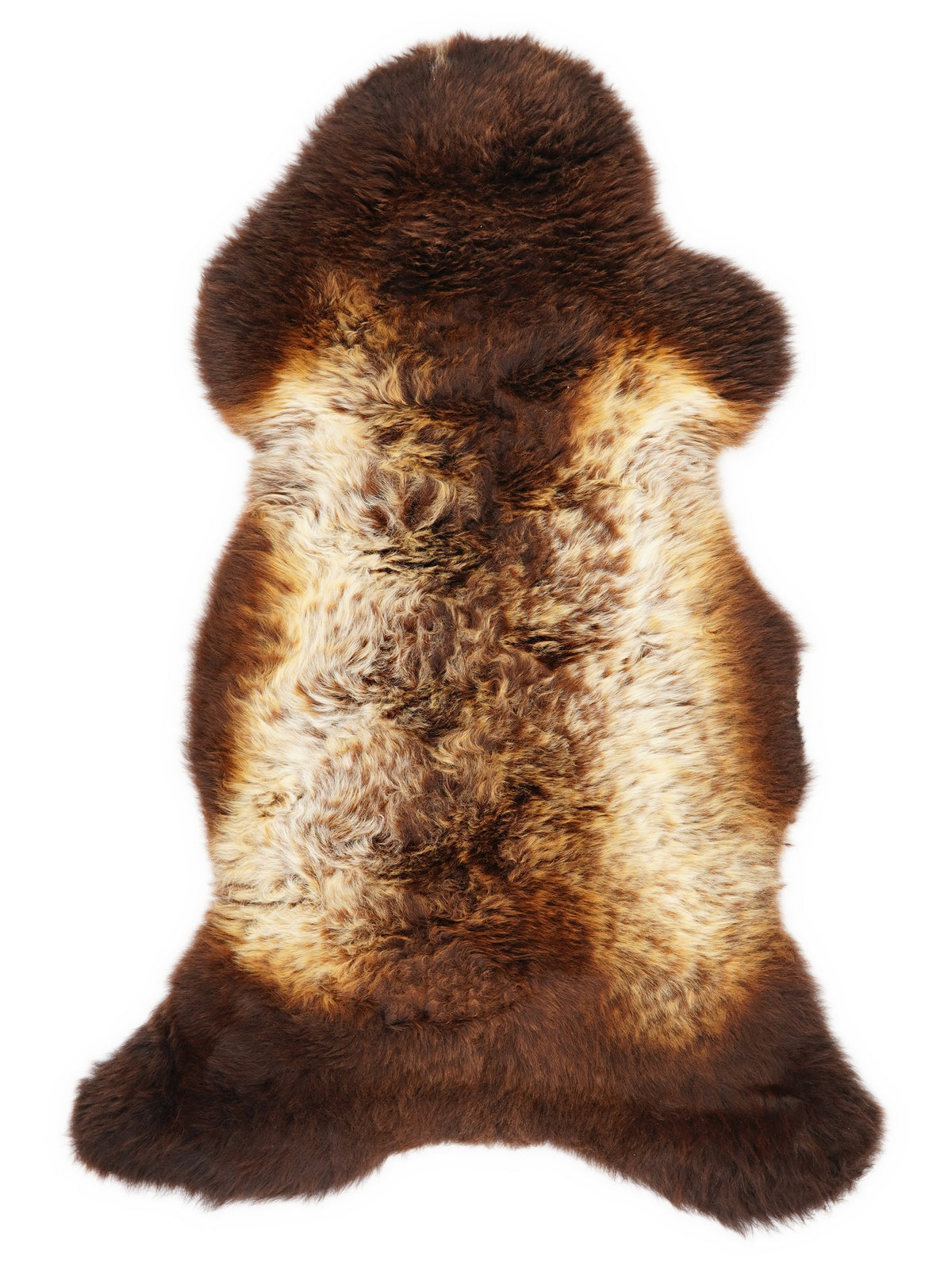 Peau de mouton multicolore britannique d’environ 110 × 50 cm, vue de dessus : exactement la peau que vous recevez