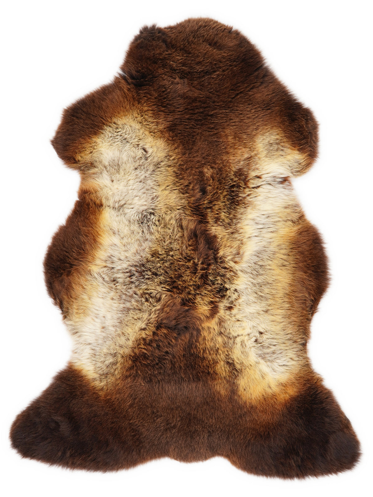 Peau de mouton multicolore britannique d’environ 110 × 65 cm, vue de dessus : exactement la peau que vous recevez