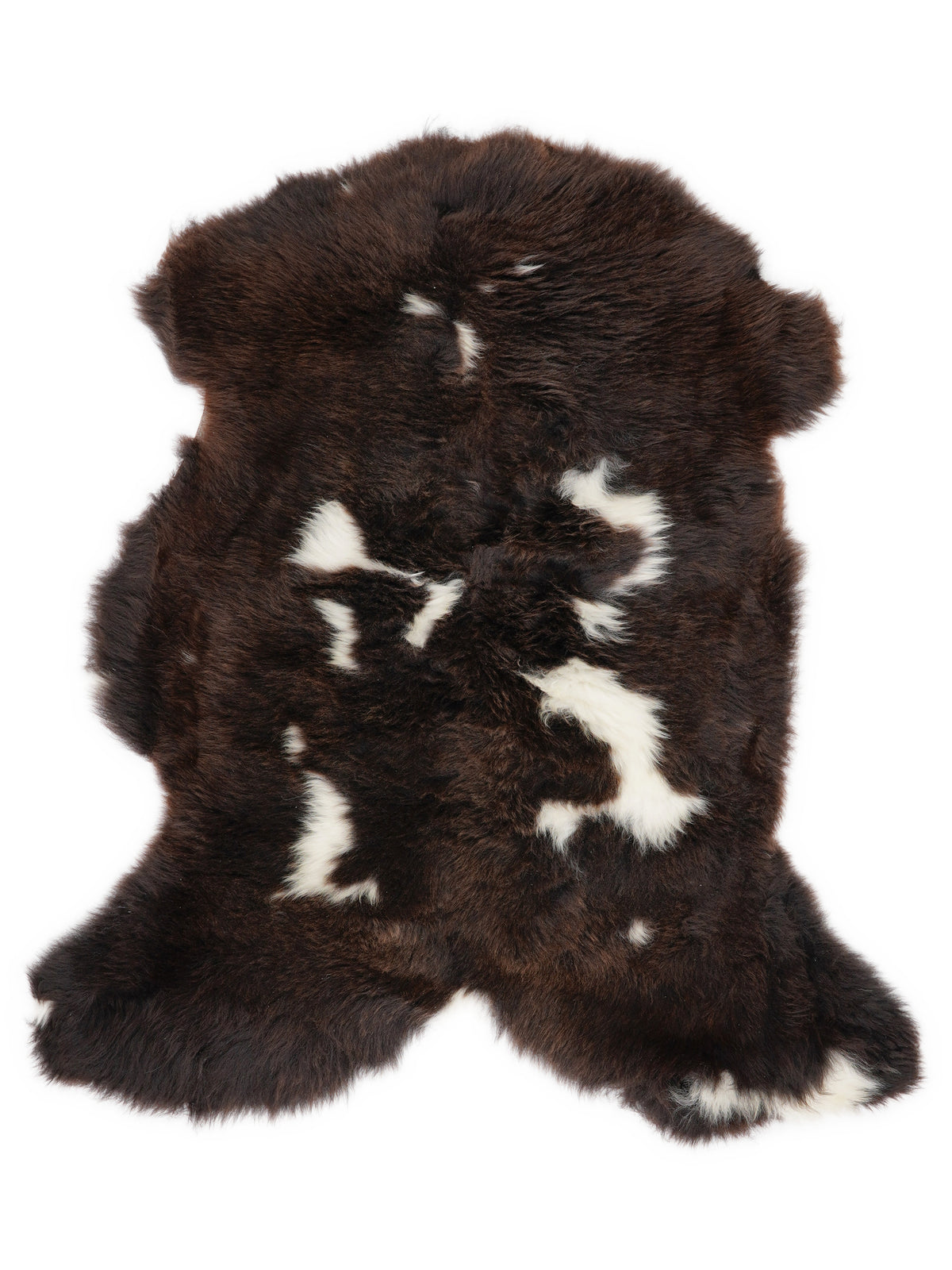 Peau de mouton multicolore britannique d’environ 100 × 65 cm, vue de dessus : exactement la peau que vous recevez